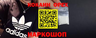 стафф Заводоуковск