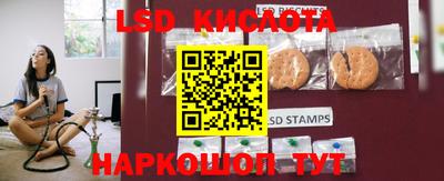 spice Сланцы