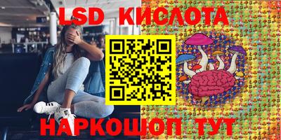 стафф Заводоуковск