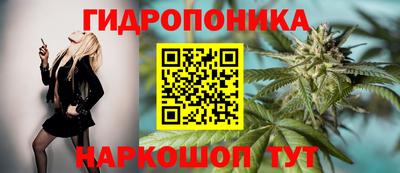гидропоника Жуковский