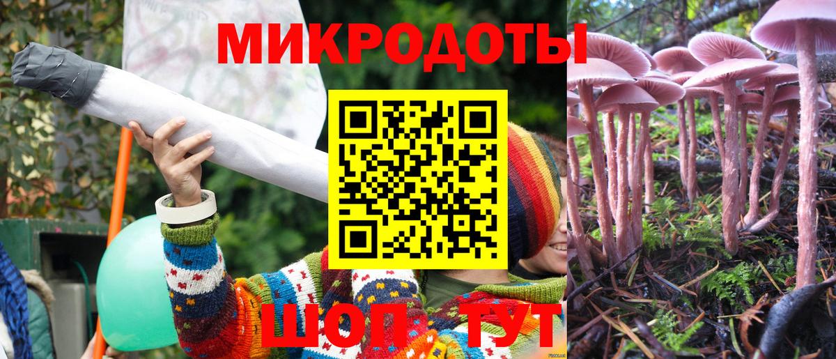 Галлюциногенные грибы Psilocybine cubensis Отрадное