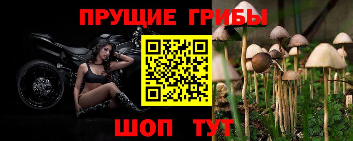 Отрадное  Псилоцибиновые грибы мухоморы  Вход с VPN  где продают   Псилоцибиновые грибы Psilocybine cubensis 